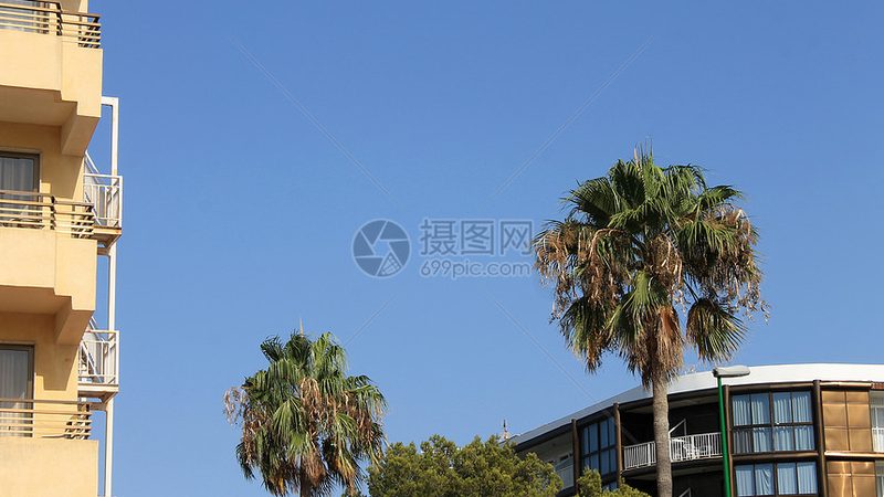 小型出境游旅行社挑选攻略：避开这些误区，轻松出行
