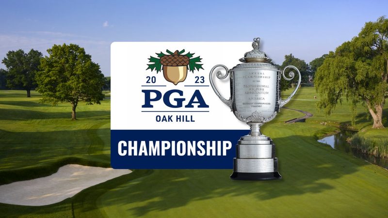 邮轮旅行，行李中的酒水携带指南